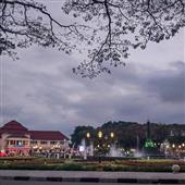Bài 