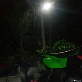 Anh 