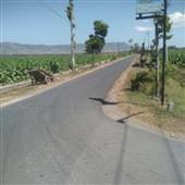 Siêu