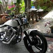T1 v