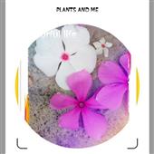 lấy 