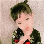 Vận 