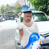 Cung