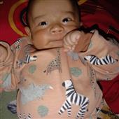 Alla