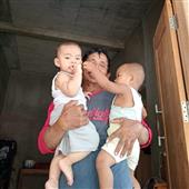 Cung