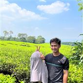 đội 