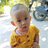 Bald