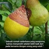 Đồng