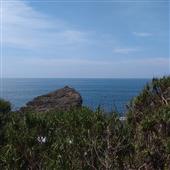 Lịch