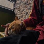 THẦN