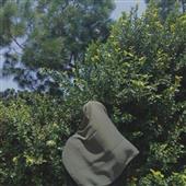 Limp