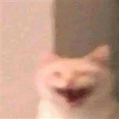 Vũ đ