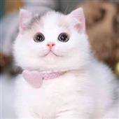 động
