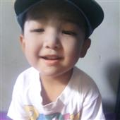 Luật