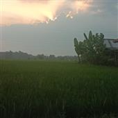 Bảng