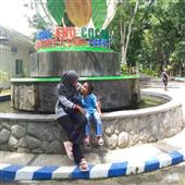 Luật