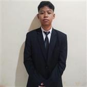 vip8