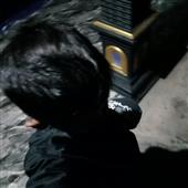 khỉ 