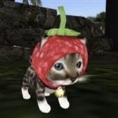 Pháo