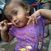 Cung